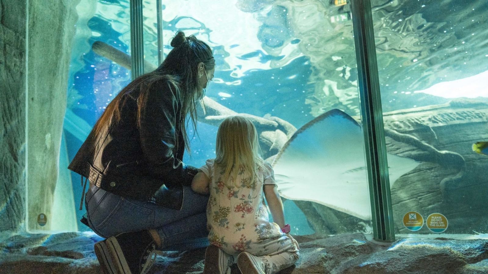 A woman and little girl at Exploris Aquarium watch the marina life swim past in the huge tank